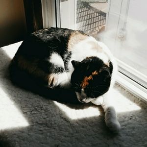 Meet your Posher, Caitlyn